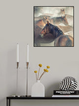 Tired Horses Poster och Canvastavla