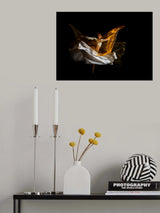 dance to the end of love Poster och Canvastavla