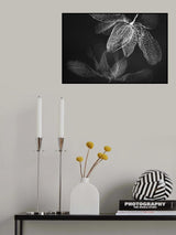 Quiet Time Poster och Canvastavla