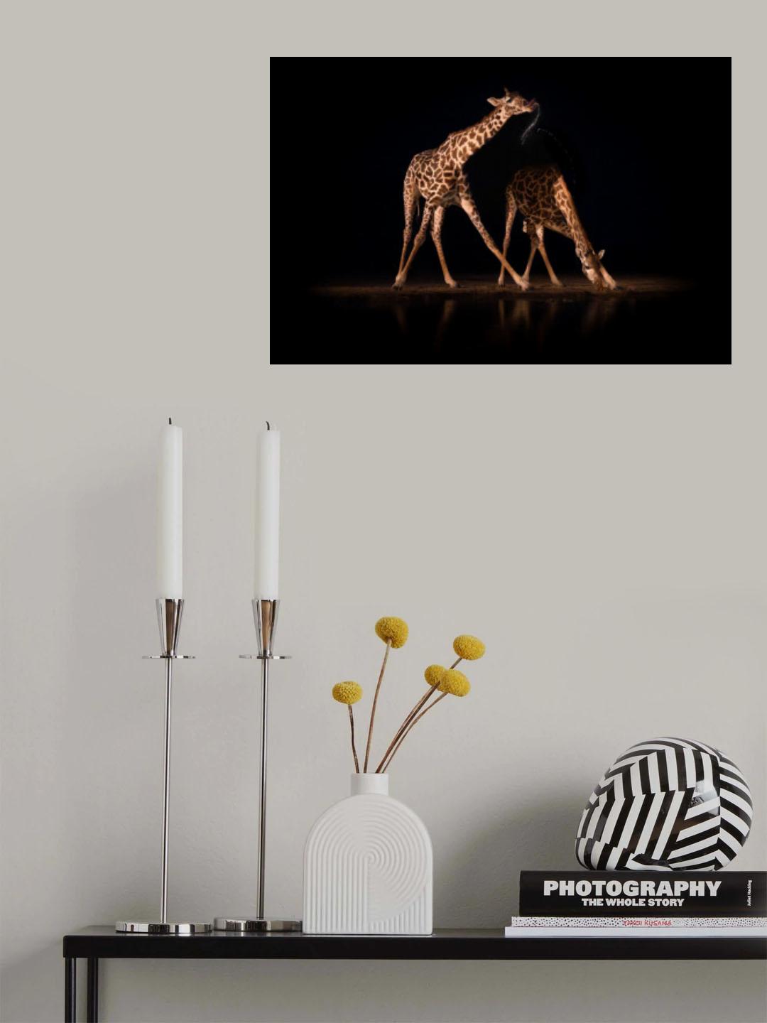 Giraffometry... Poster och Canvastavla