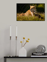 Dad &amp; Me Poster och Canvastavla