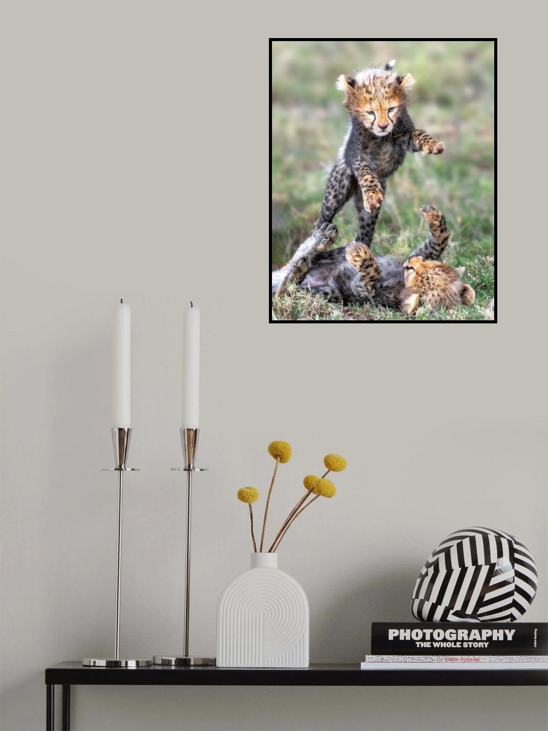 Powerful baby Poster och Canvastavla