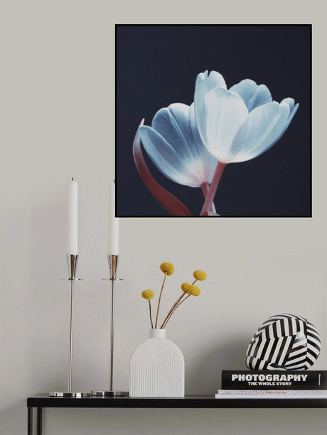 Loving Couple White Red  Dsc1915 Poster och Canvastavla