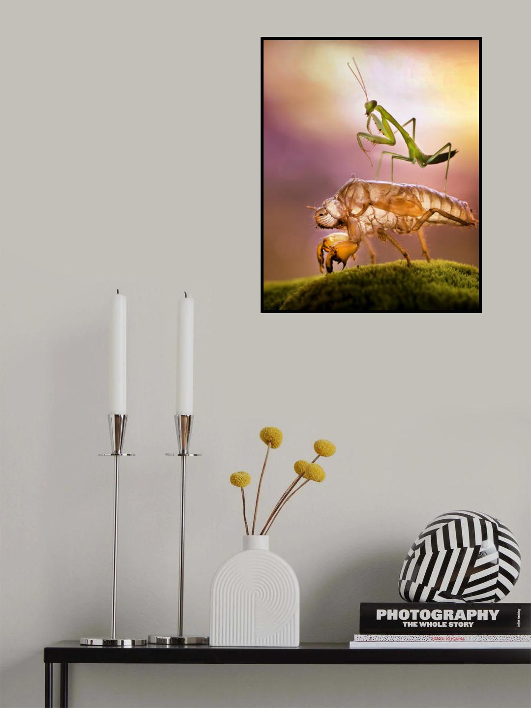 Playing Horses Poster och Canvastavla