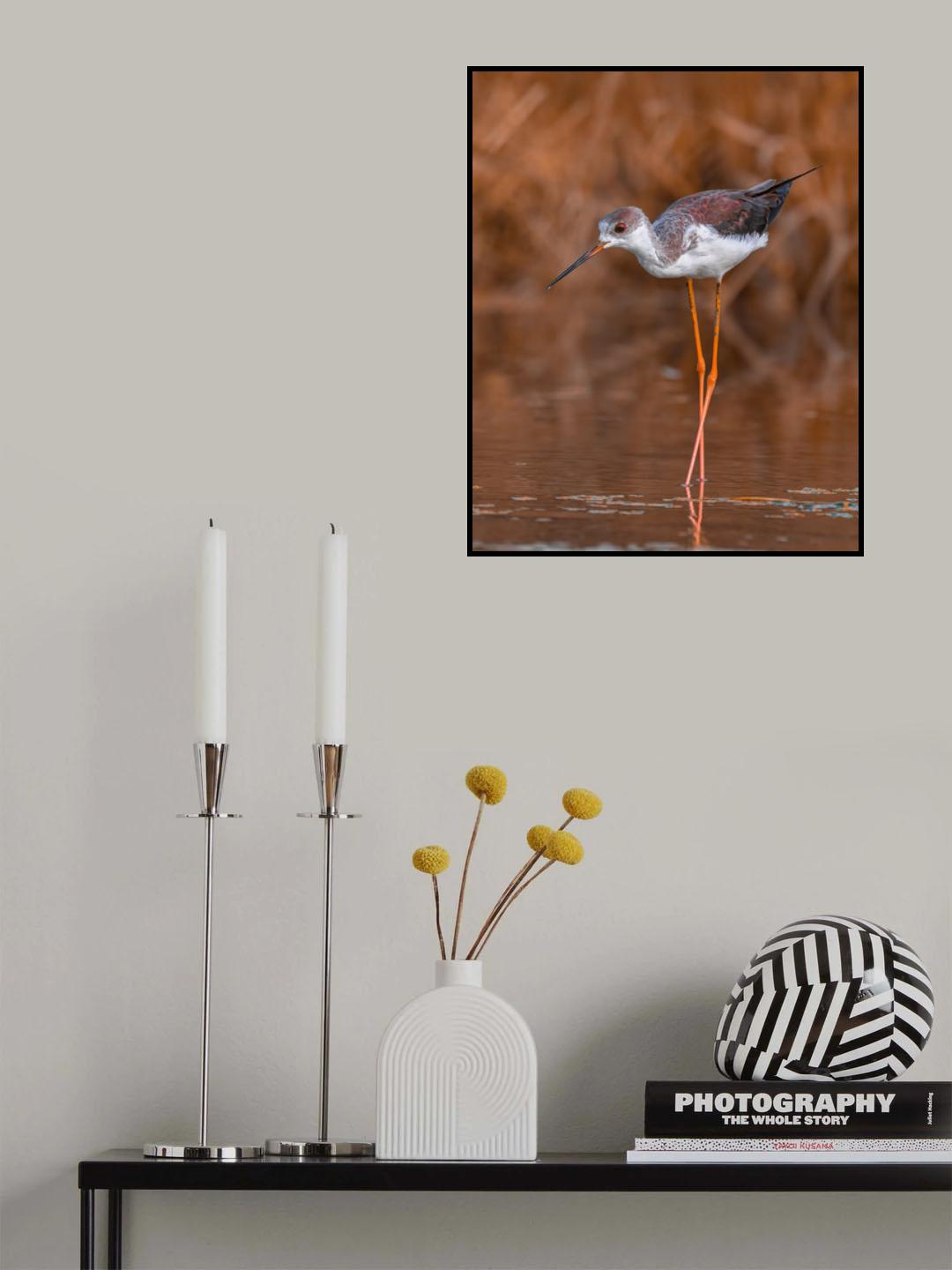 STILT Poster och Canvastavla