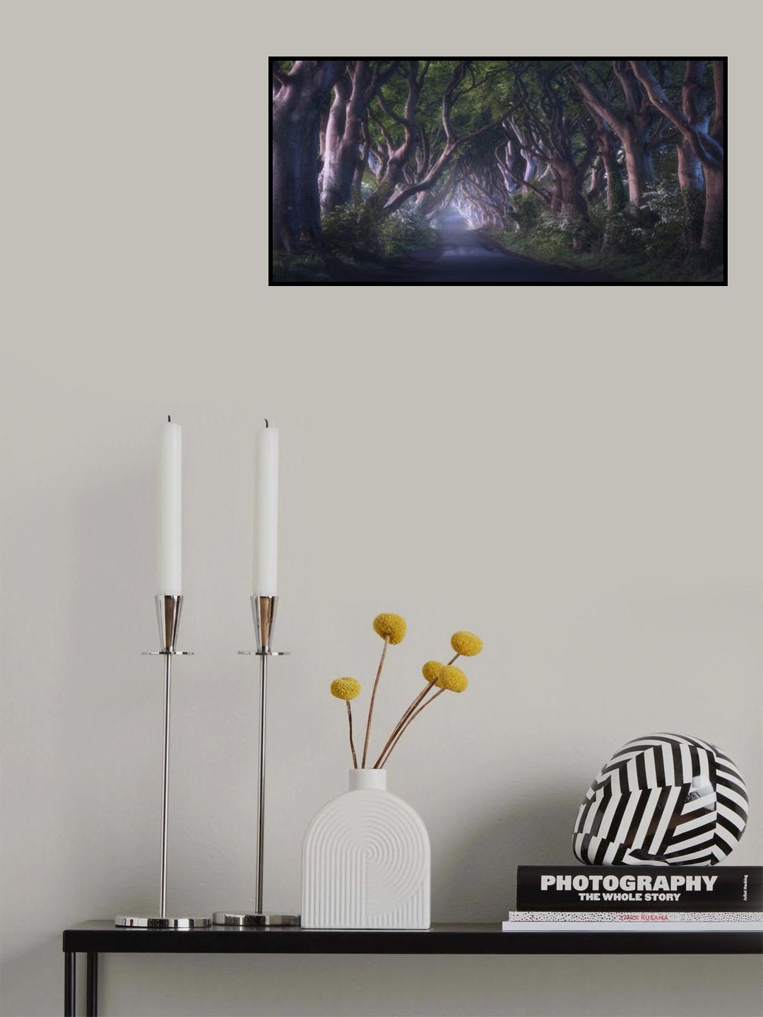 The Dark Hedges Poster och Canvastavla