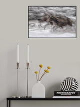 black dominance Poster och Canvastavla