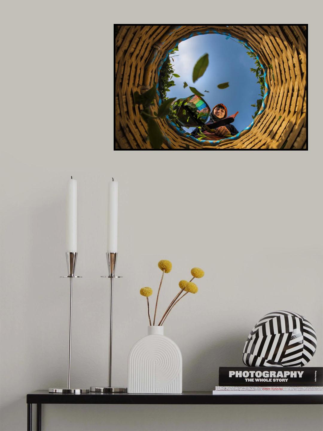 Tea Harvest Poster och Canvastavla