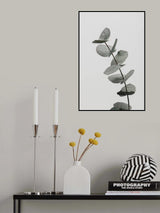 Eucalyptus Natural 06 Poster och Canvastavla