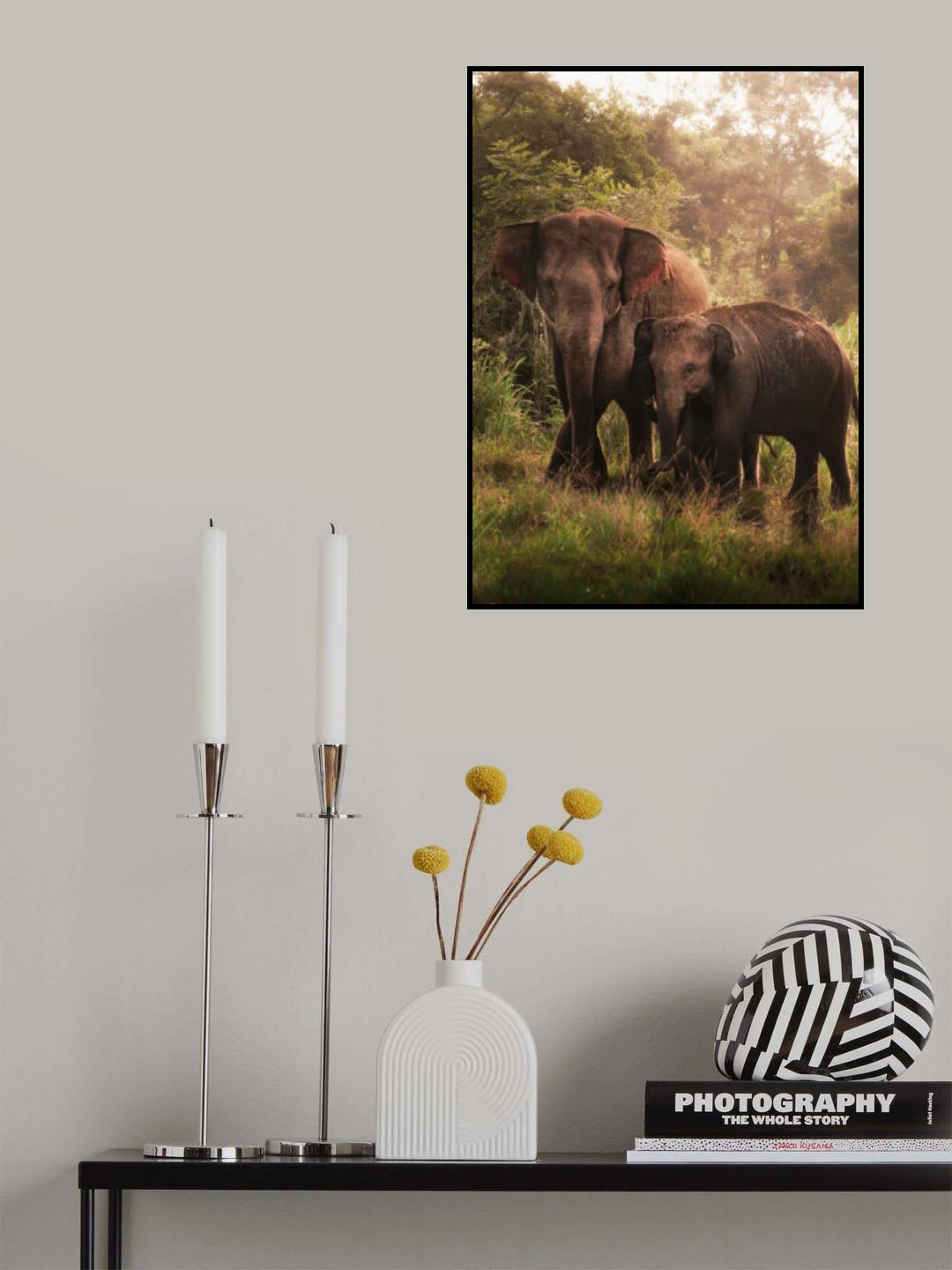The elephant son and mother Poster och Canvastavla