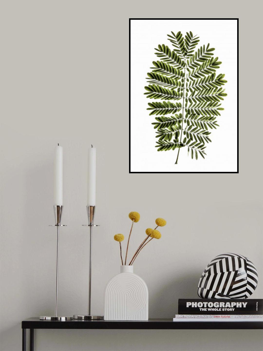 Leaf Study 02 Poster och Canvastavla