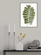 Leaf Study 02 Poster och Canvastavla