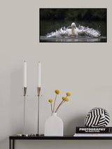 Pelican Poster och Canvastavla