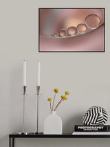 Sensations Poster och Canvastavla