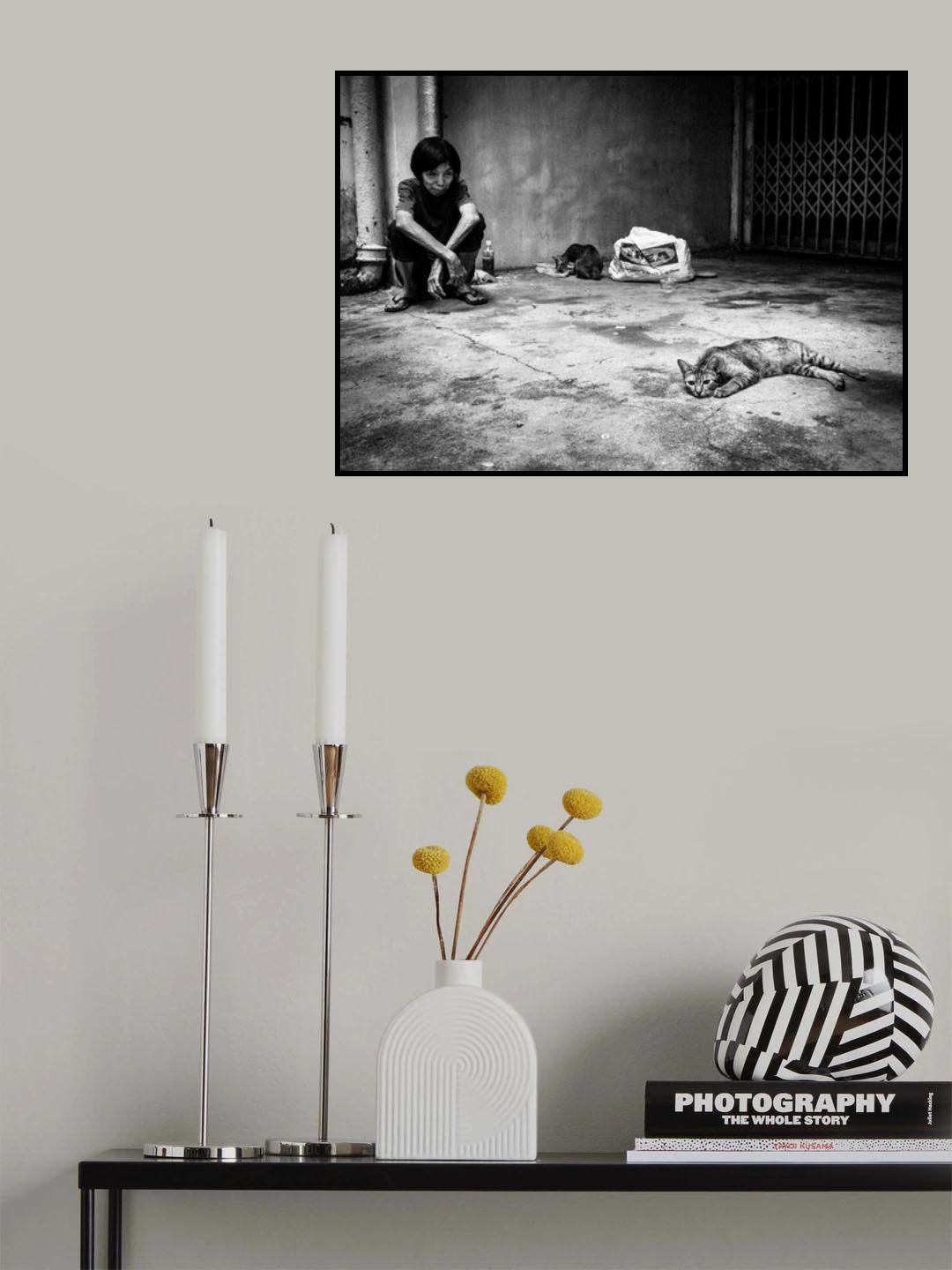 with cats Poster och Canvastavla