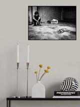 with cats Poster och Canvastavla