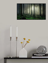 mystic forest Poster och Canvastavla