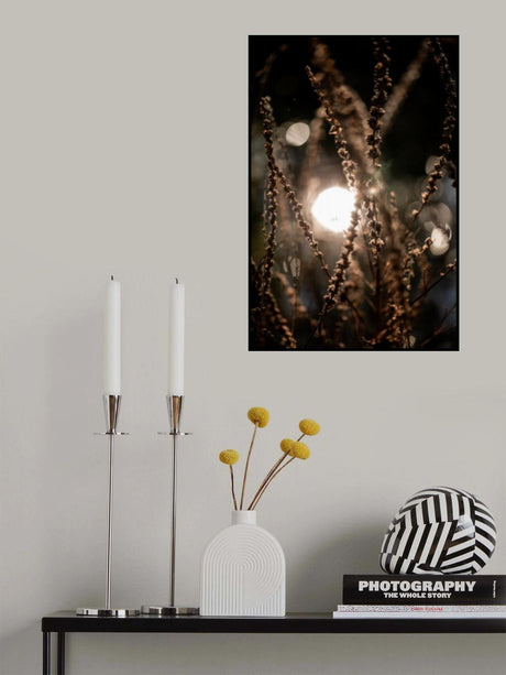 Natural Sparkle 2 Poster och Canvastavla