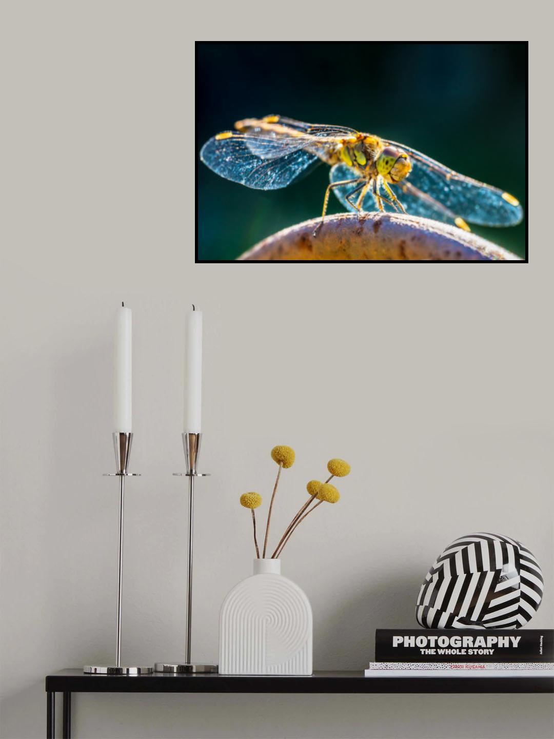 Dragonfly Poster och Canvastavla