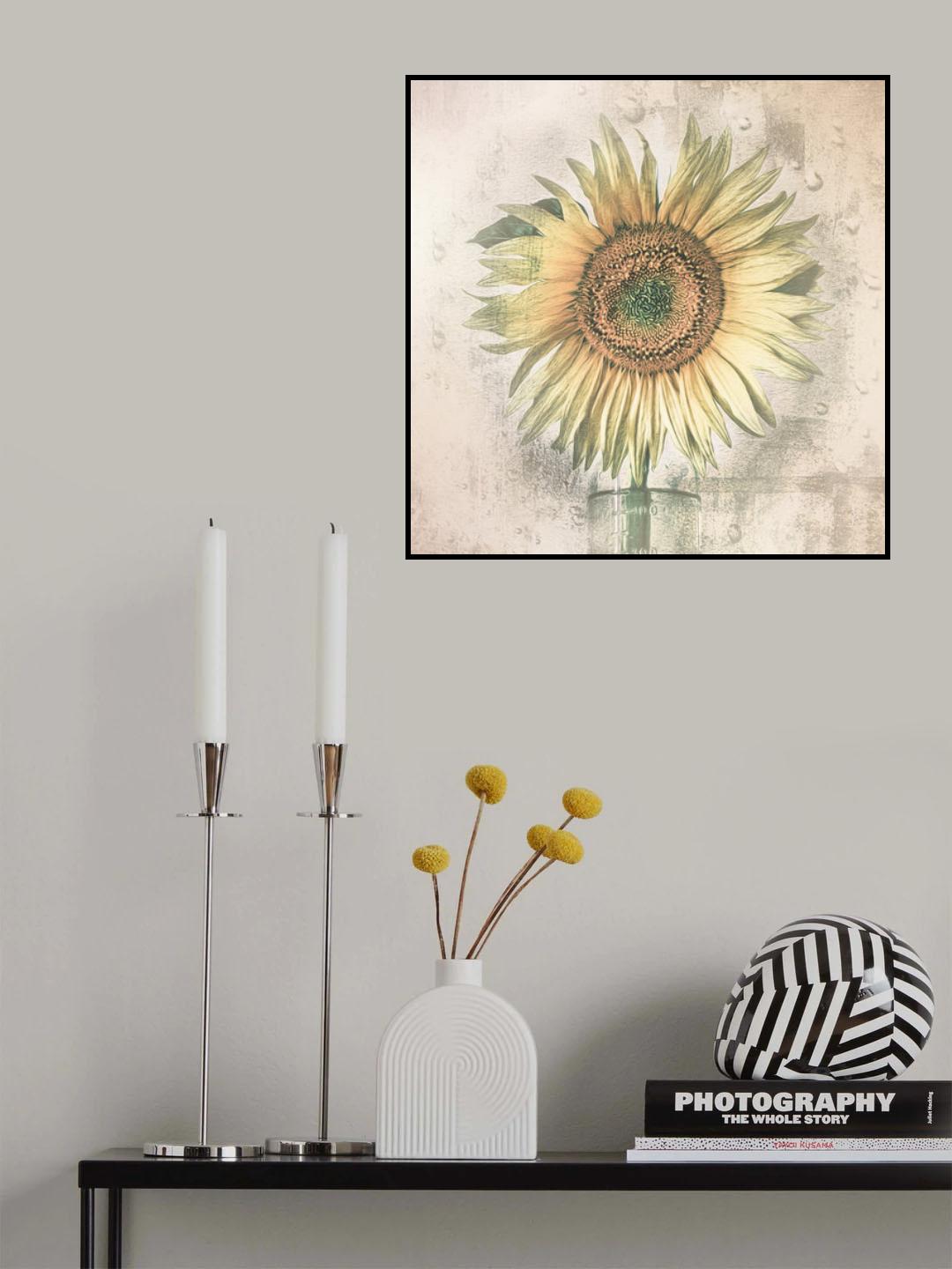 sunflower Poster och Canvastavla