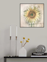 sunflower Poster och Canvastavla