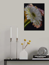 beautiful flowers Poster och Canvastavla