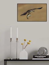 Osprey and fish Poster och Canvastavla