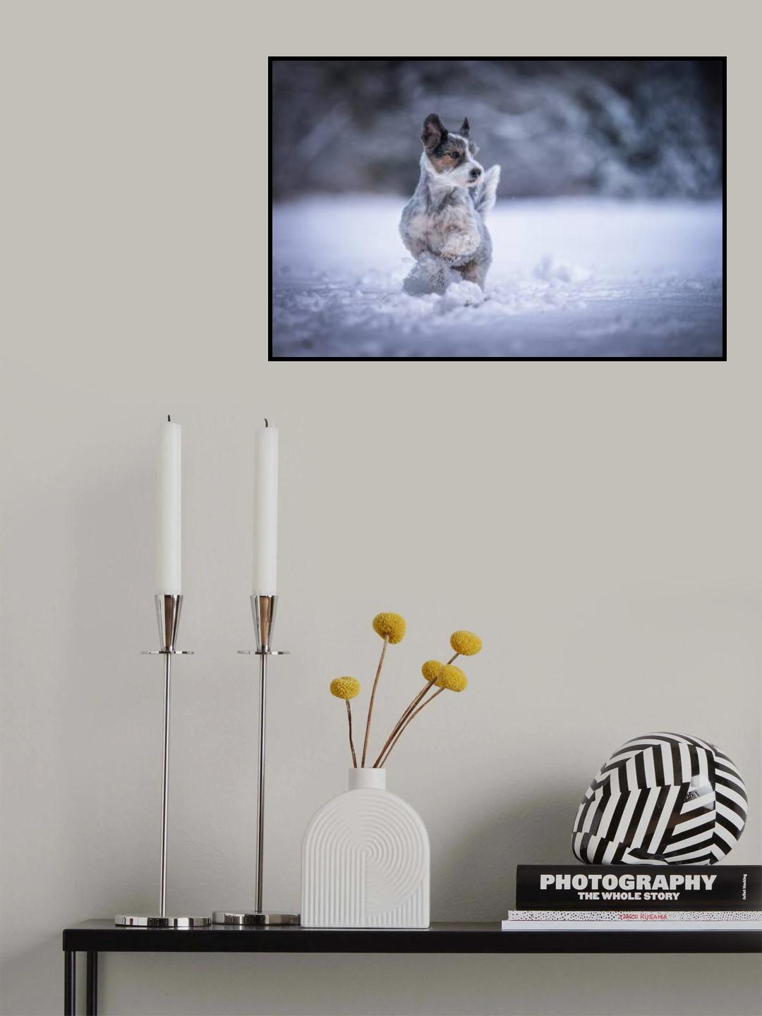 my little dog Poster och Canvastavla