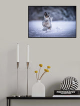 my little dog Poster och Canvastavla