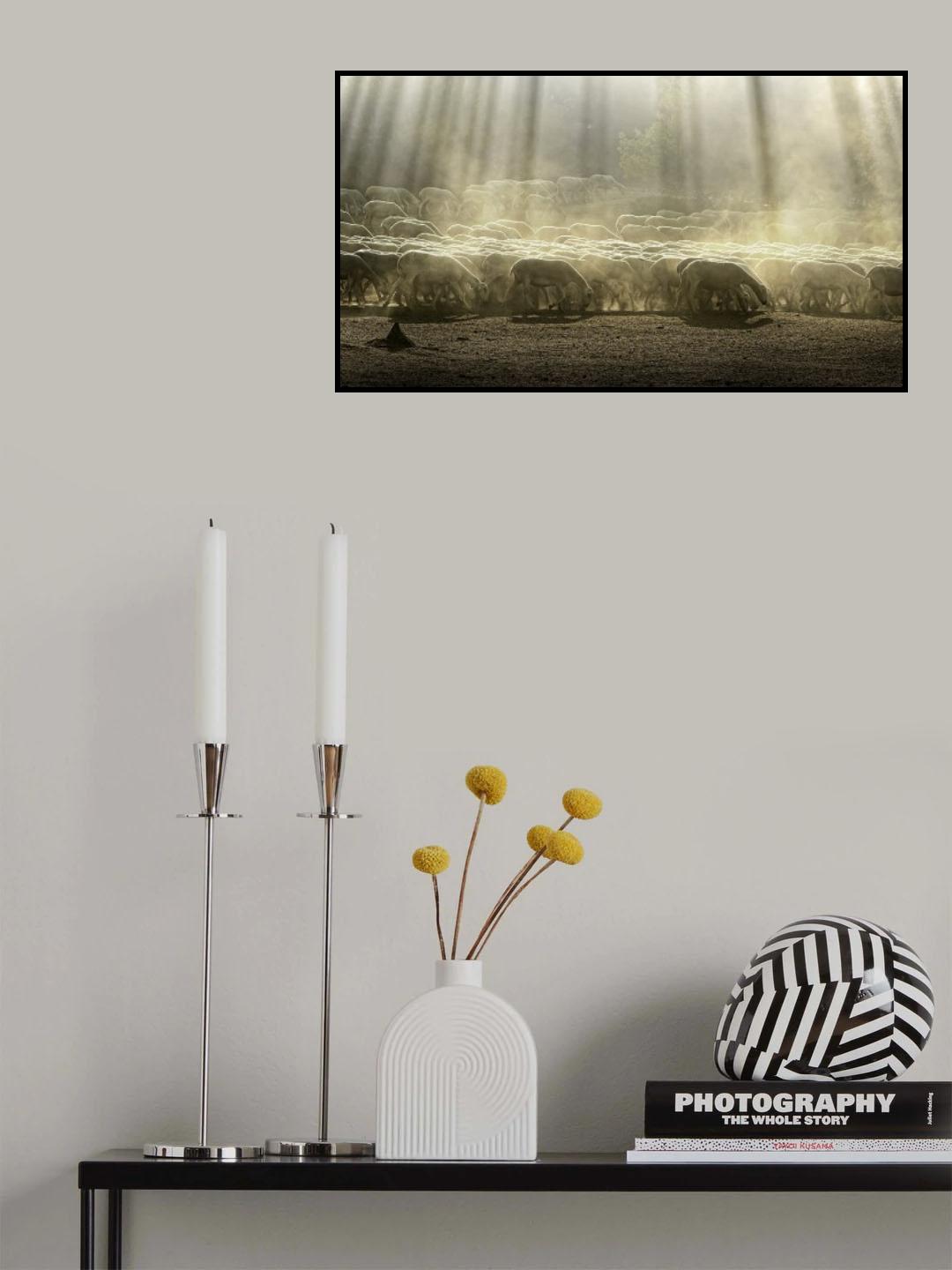 Herd sheep in the forest Poster och Canvastavla