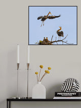 Honey, I am Home! Poster och Canvastavla