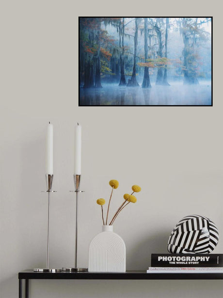 Foggy Swamp Morning Poster och Canvastavla