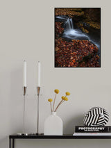 Red Leaves Poster och Canvastavla