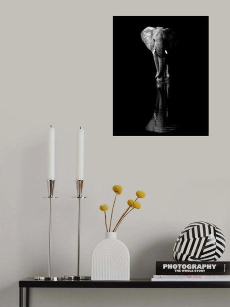 Elephant Poster och Canvastavla