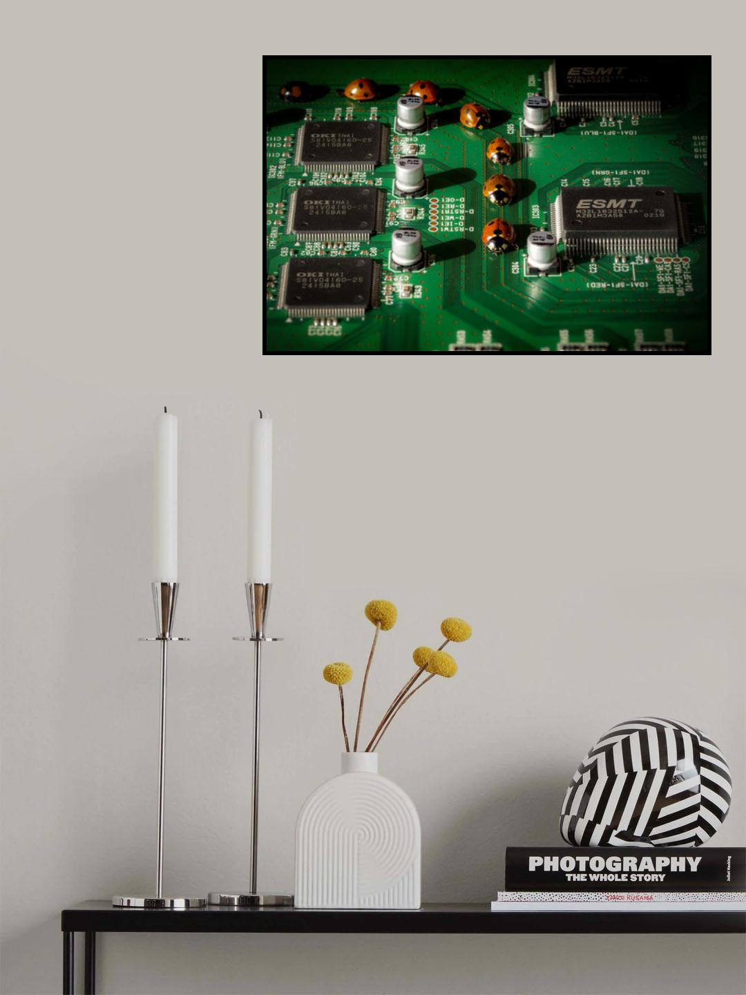 Formula 1 Poster och Canvastavla