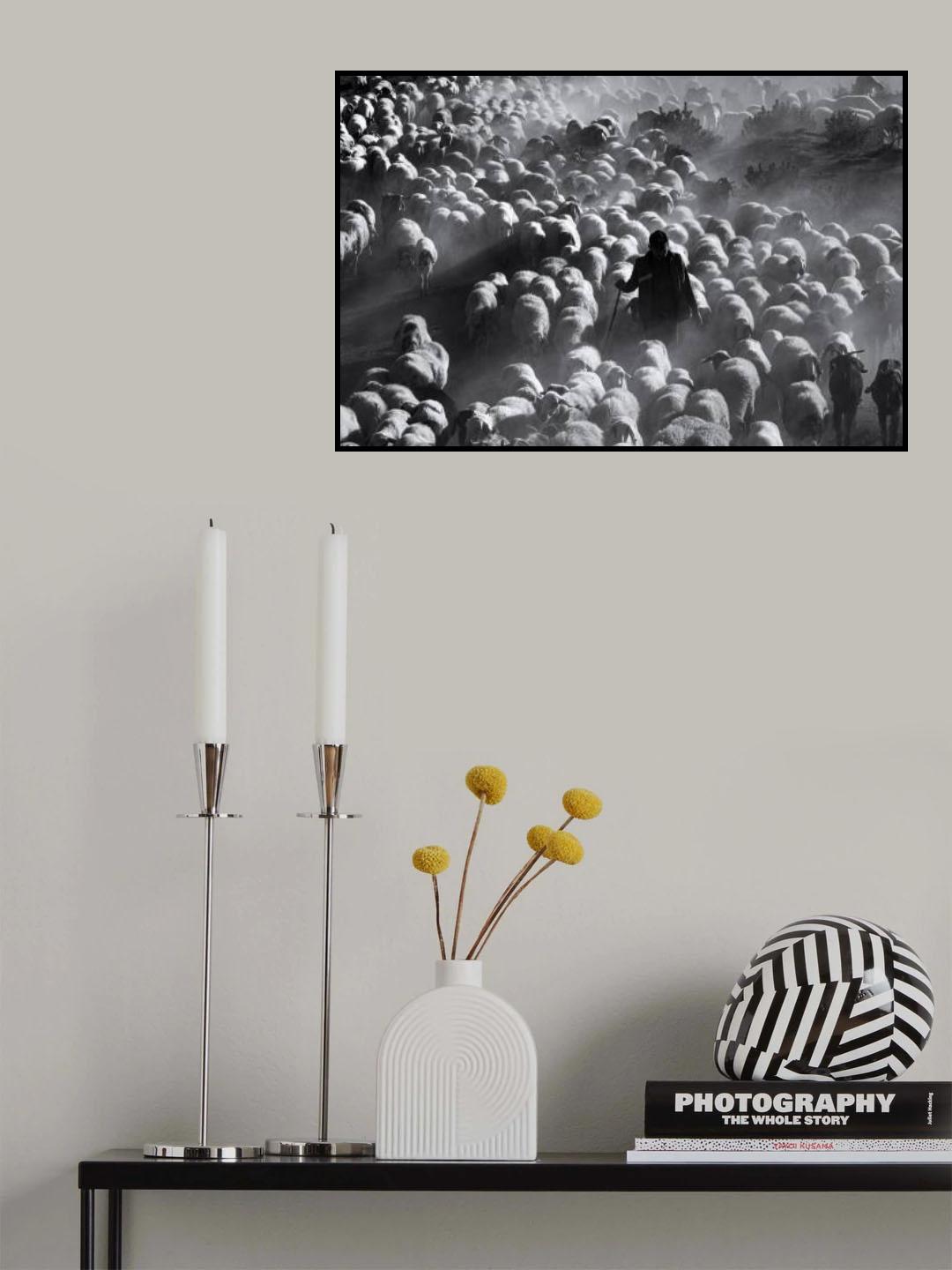 Shepherd Poster och Canvastavla
