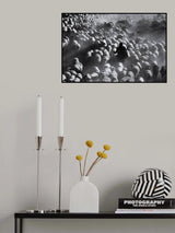 Shepherd Poster och Canvastavla