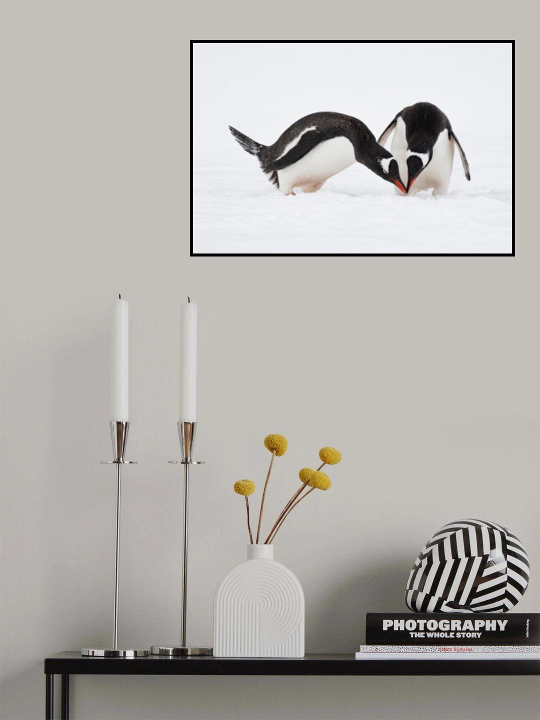 Couple Poster och Canvastavla
