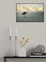 White Stork Poster och Canvastavla