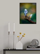 Harmony of Colours Poster och Canvastavla