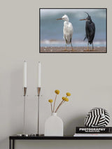 Poster och Canvastavla