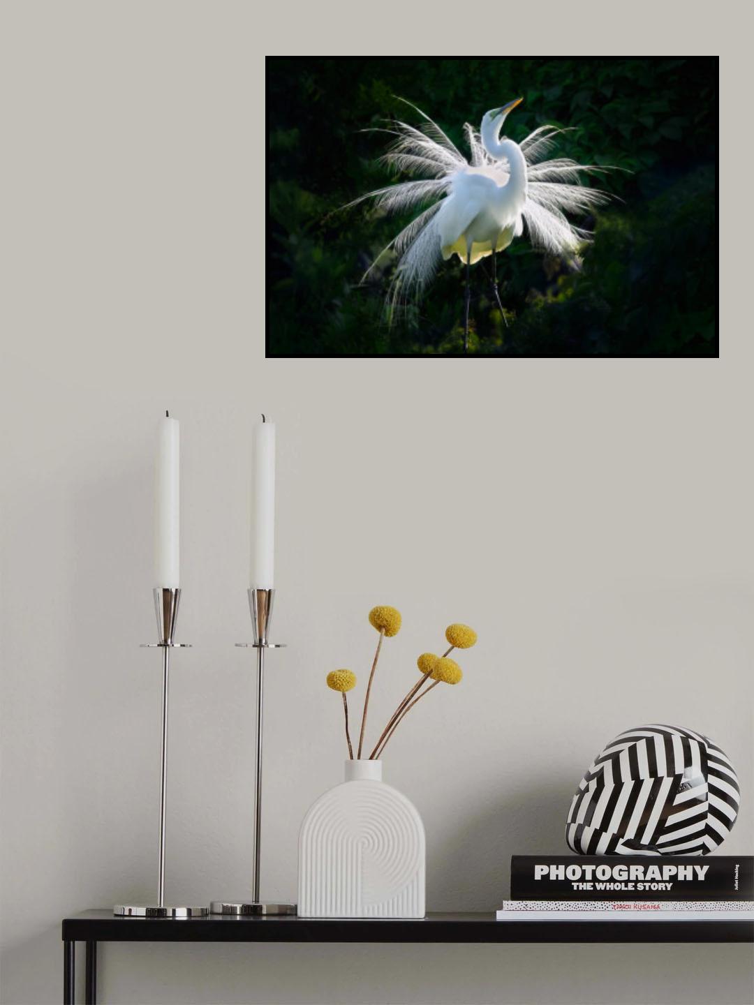 Mating Dance! Poster och Canvastavla