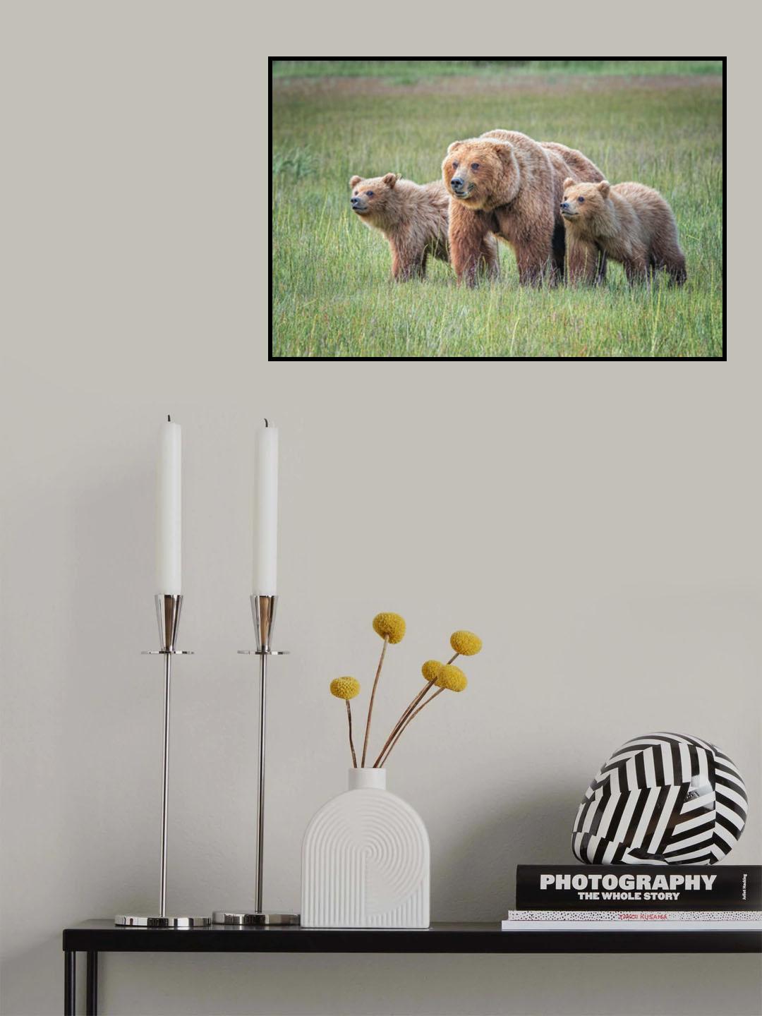 Spring cubs and mom Poster och Canvastavla