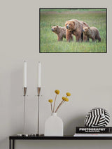 Spring cubs and mom Poster och Canvastavla