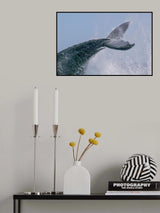 Escort tail Poster och Canvastavla