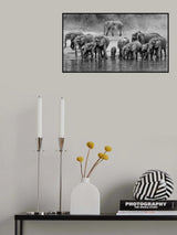Elephant Family Poster och Canvastavla