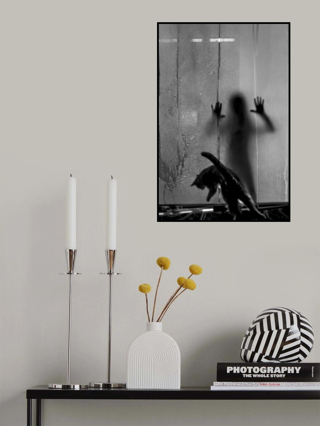 shadow and cat Poster och Canvastavla