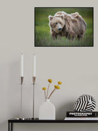 Teddy Bear Poster och Canvastavla