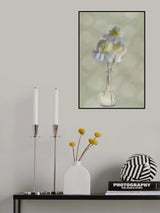 Peonies Poster och Canvastavla