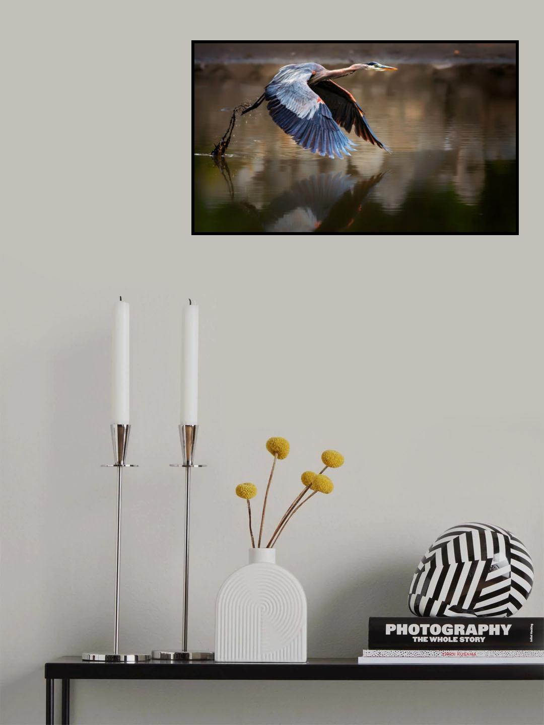 Fly from water Poster och Canvastavla